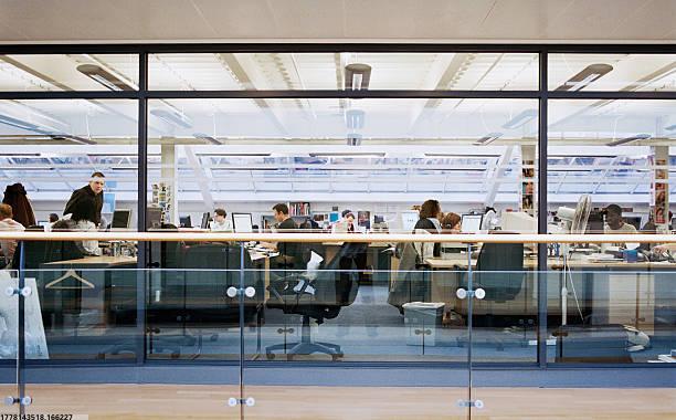 世界杯球迷最新入口2023